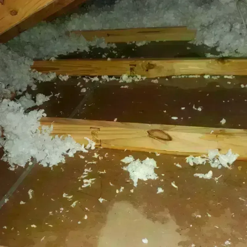 Attic Water Damage in Lemmon Valley, NV